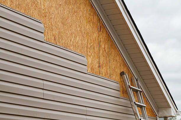 Professional Siding Repair technician working in Linden, VA